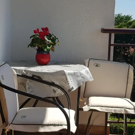 Korni * Porec